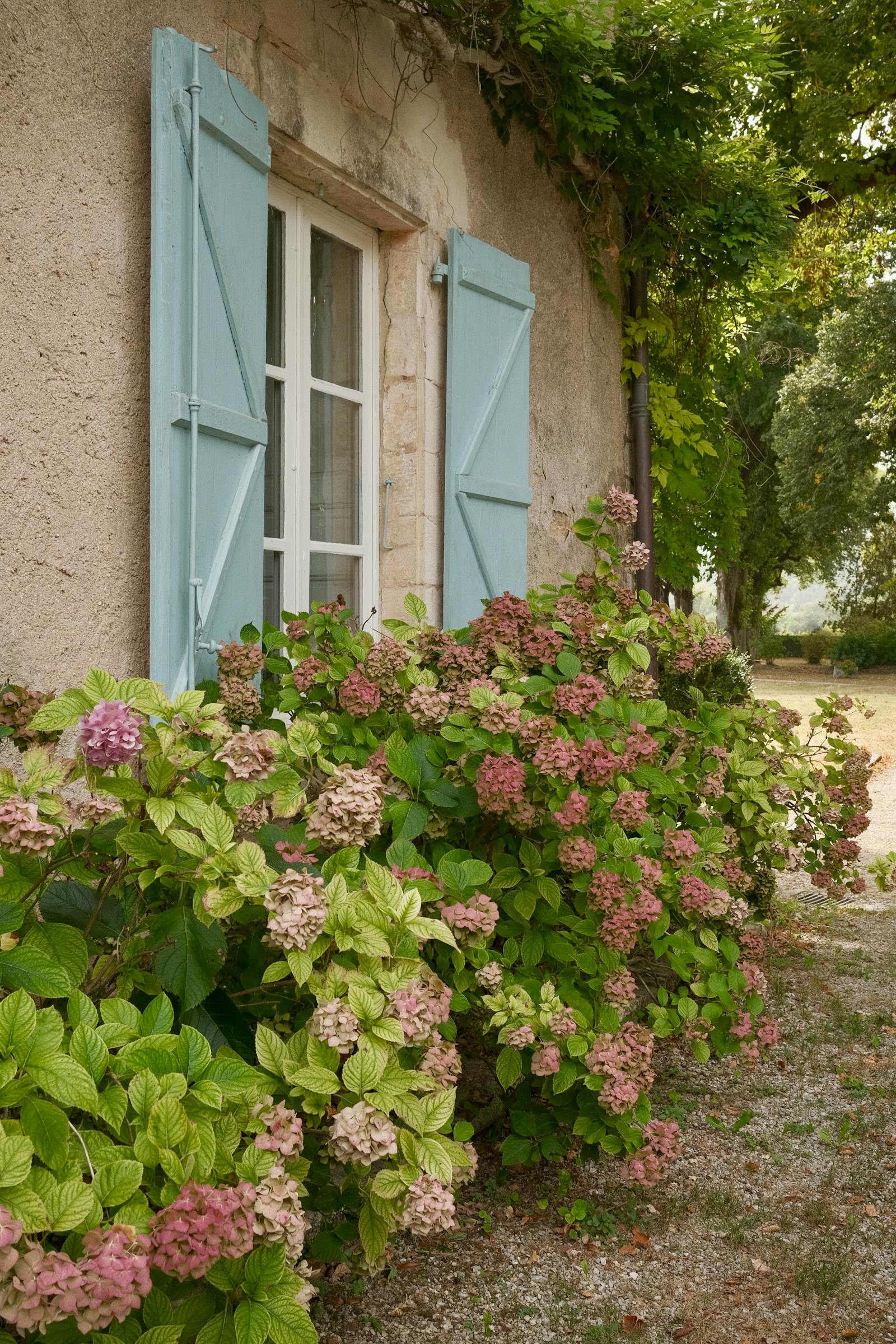 Jardin de campagne, Romans 2023