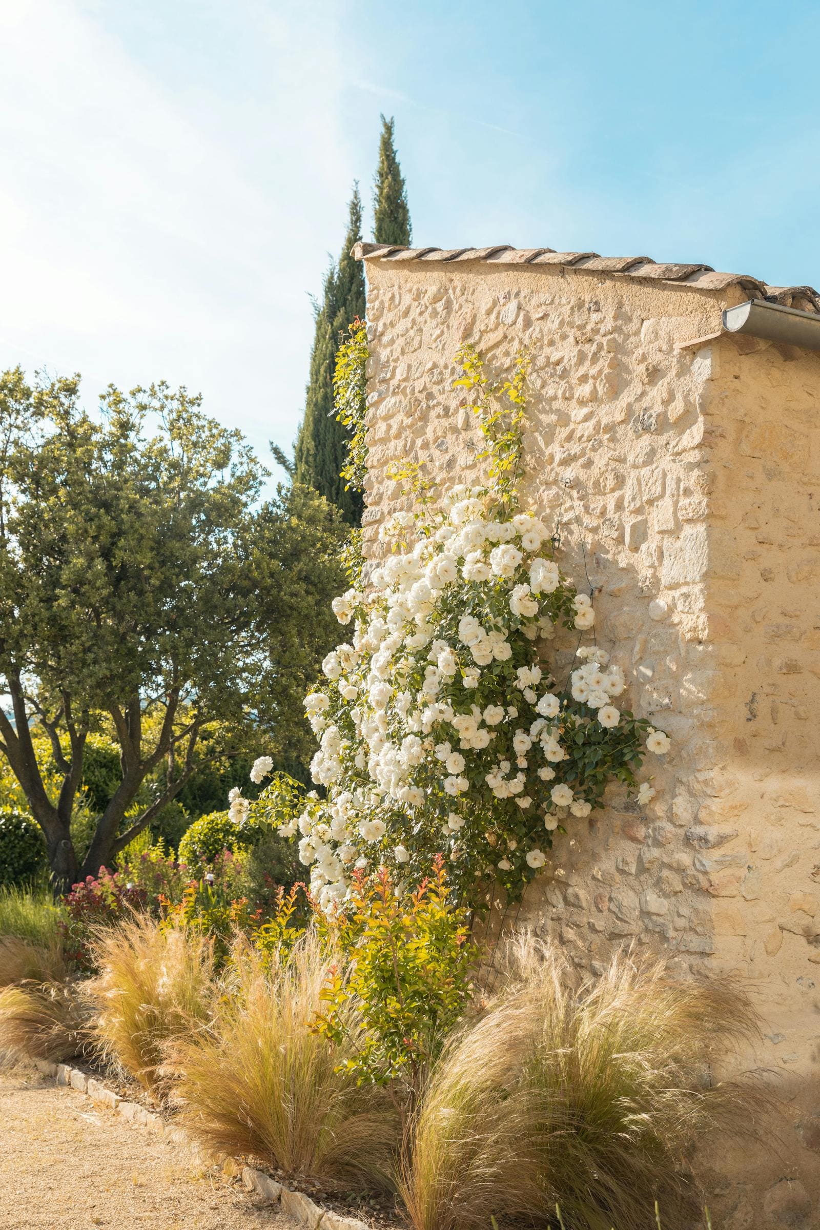Jardin de mas, Préaux 2024